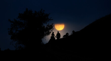 silhouette of a couple ,at the moon light