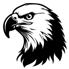 Majestic Eagle Head Vector Illustration