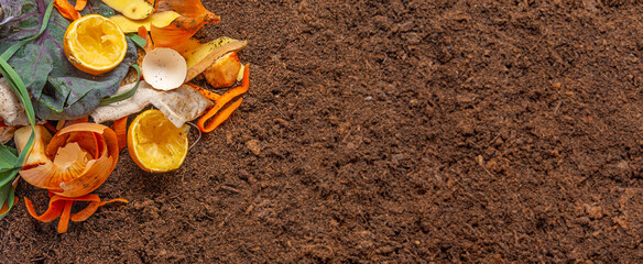 organic compost - biodegradable kitchen waste and soil