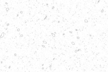 Naklejka premium Snow isolated transparency background.