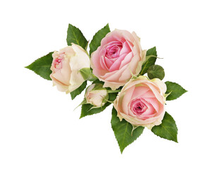 Floral corner arrangement with pink rose flowers isolated on white or transparent background