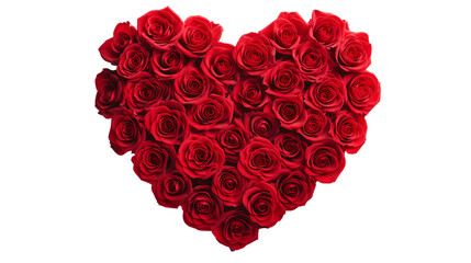 Heart shape made out of blooming red rose flowers transparent