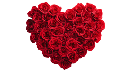 Heart shape made out of blooming red rose flowers transparent