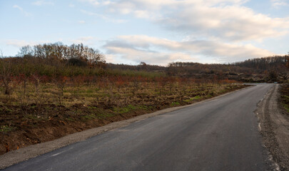 New country road in autumn.  Country road cutting through green fields in the countryside. Empty asphalt road in rural landscape with dramatic clouds. Open Road.  