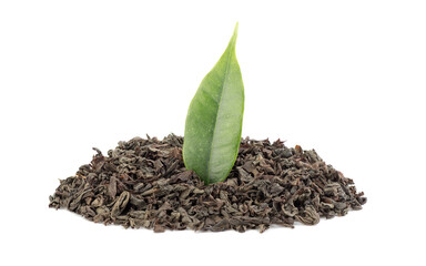 Dry black tea and fresh tea leaf isolated on a white background. Black Ceylon tea.