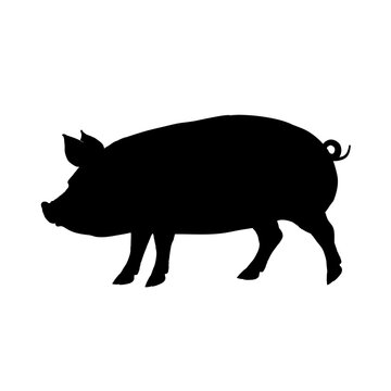 pig silhouette - vector illustration