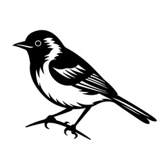 Graceful Bird Vector Illustration