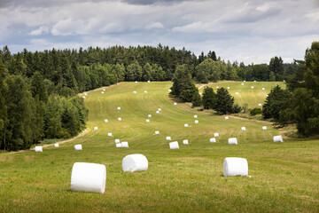 Bales of straw wrapped in white foil on field - Czech Canada natural park