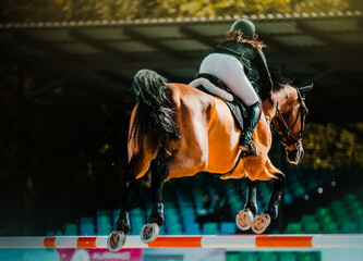A beautiful bay horse with a rider in the saddle jumps over a high barrier against the background...