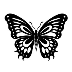  Delicate Butterfly Vector Illustration