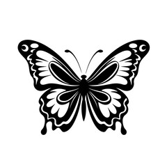  Delicate Butterfly Vector Illustration