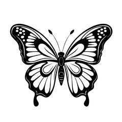  Delicate Butterfly Vector Illustration