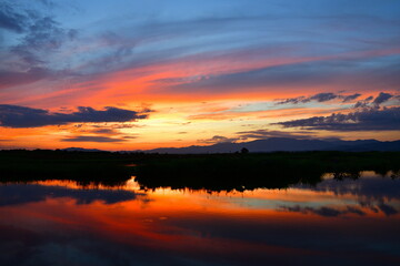 朝の福島潟（新潟県）