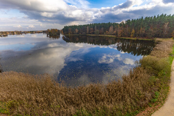 Autumn landscape by the lake, yellow grass, orange leaves falling from the trees