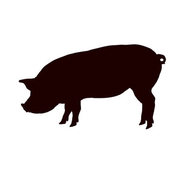 pig silhouette - vector illustration