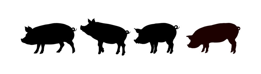 Set of pig silhouette - vector illustration
