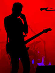 Guitarist