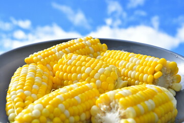 トウモロコシ