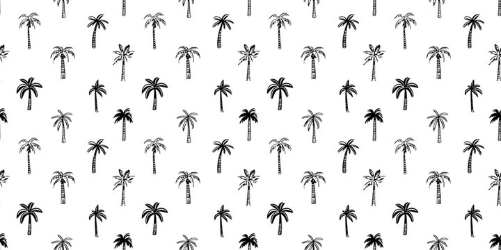 Hand drawn palm tree doodle seamless pattern illustration. Black and white hawaiian print, summer vacation background in vintage art style. Tropical plant painting wallpaper texture.