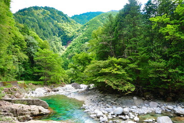 Fototapeta premium 阿寺渓谷（長野県）