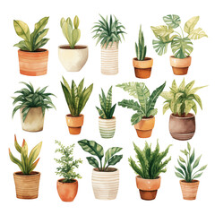 potted plants in watercolor style illustration on png transparent background, generative ai