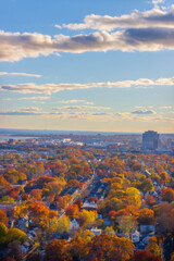 autumn view of the city in the fall
