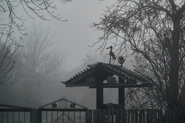 old well in the fog behind an old fence
