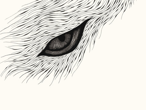 A Drawing Of An Eye - a closeup of an eye