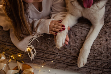 Friendship of a girl and a dog, hands and paws close-up, christmas card