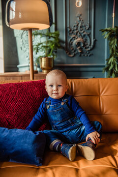 Cute baby boy sitting on sofa, colorful photo