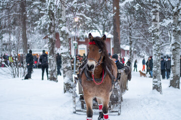 Umea, Sweden - December 05, 2021 Horse riding for Santa fairytale by kids and family in the winter...