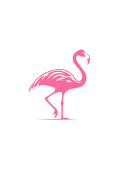 Tropical Flamingo Vector Illustration