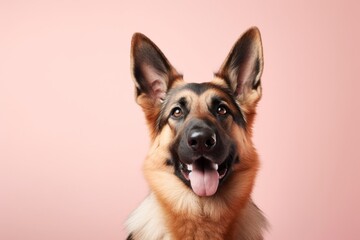 cute german shepherd sitting in a pastel or soft colors background