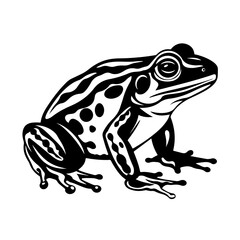 Playful Frog Vector Illustration