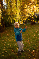 Cute boy in autumn Standing on a green lawn with fallen leaves under a tree