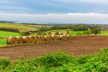 Yorkshire Wolds, East Yorkshire.  A rural scene with rich, fertile fields and a long, neat row of large rolled bales of straw in Autumn.  Horizontal, space for copy