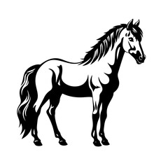 Obraz na płótnie Canvas Graceful Horse Vector Illustration