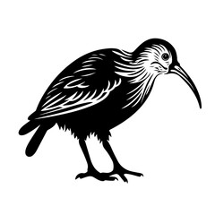 Playful Kiwi Bird Vector Illustration