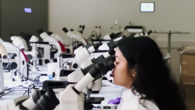 Female research scientist looking at samples under microscope. 4K Microbiologist Working in Modern Laboratory with Technological Equipment. Biochemistry, pharmaceutical medicine.
