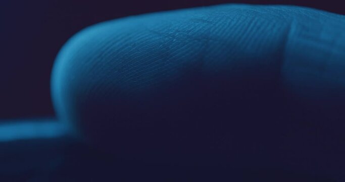 Human fingerprint texture macro close up
