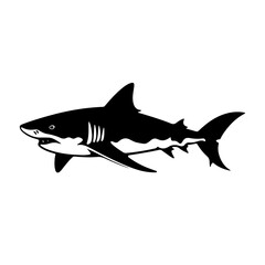 Fearsome Shark Vector Illustration