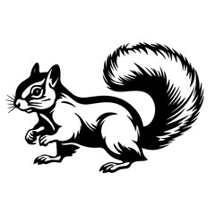 layful Squirrel Vector Illustration