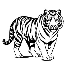 Majestic Tiger Vector Illustration