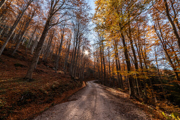 Fall foliage in Emilia-Romagna in Italian Appenines, trip at Acquapartita.