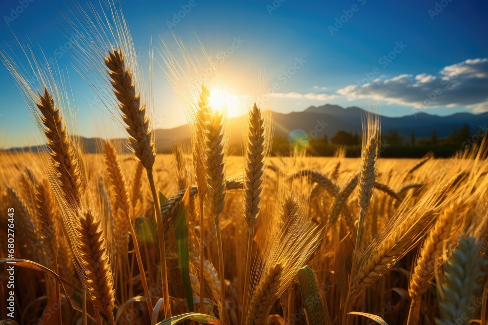 Poster a close up of a wheat field with the sun setting in the distance in the distance, with mountains in 