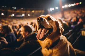 Fotobehang Studio portrait photography of a happy golden retriever being at a concert against tundra landscapes background. With generative AI technology © Markus Schröder