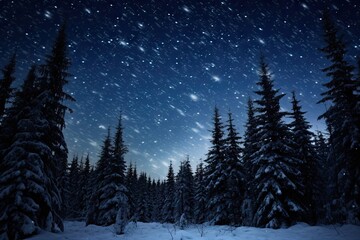 Fototapeta na wymiar a night time scene of a snow covered forest with stars in the sky and snow falling off of the trees.
