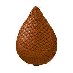 Vector illustration, Salak or snake fruit, scientific name Salacca zalacca, isolated on a white background.