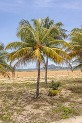 paisagem natural na cidade de Vitória, Estado do Espirito Santo, Brasil
