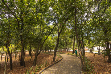 paisagem natural na cidade de Vitória, Estado do Espirito Santo, Brasil